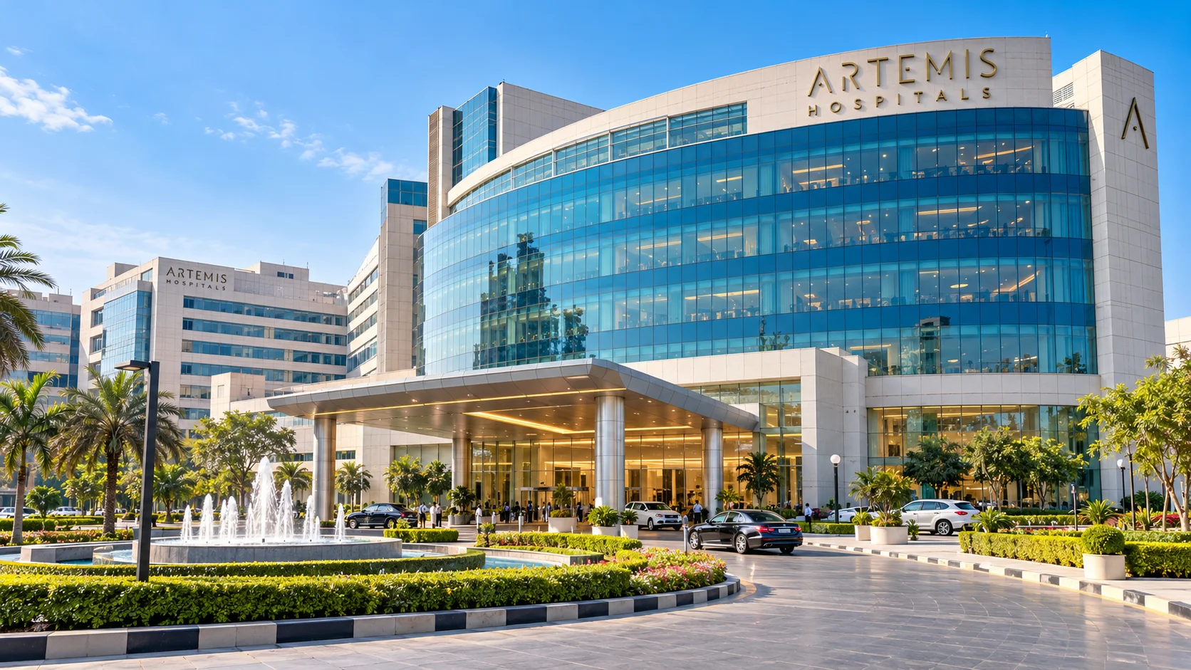 Artemis Hospital
